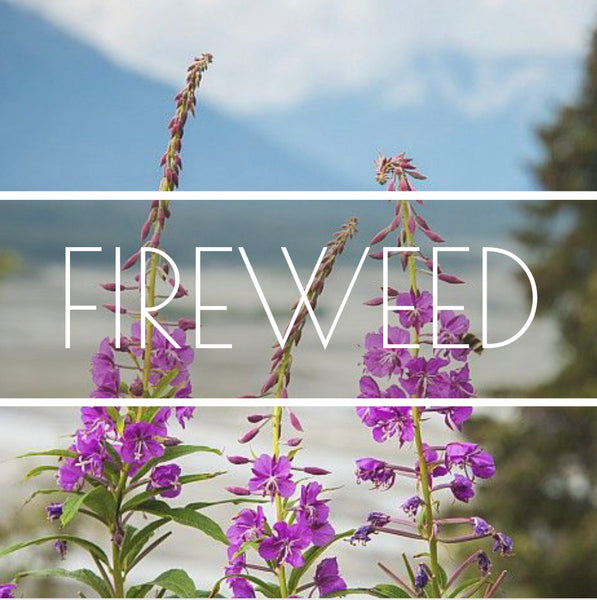 Alaskan Fireweed Hydrosol