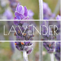 Lavender Super Hydrosol